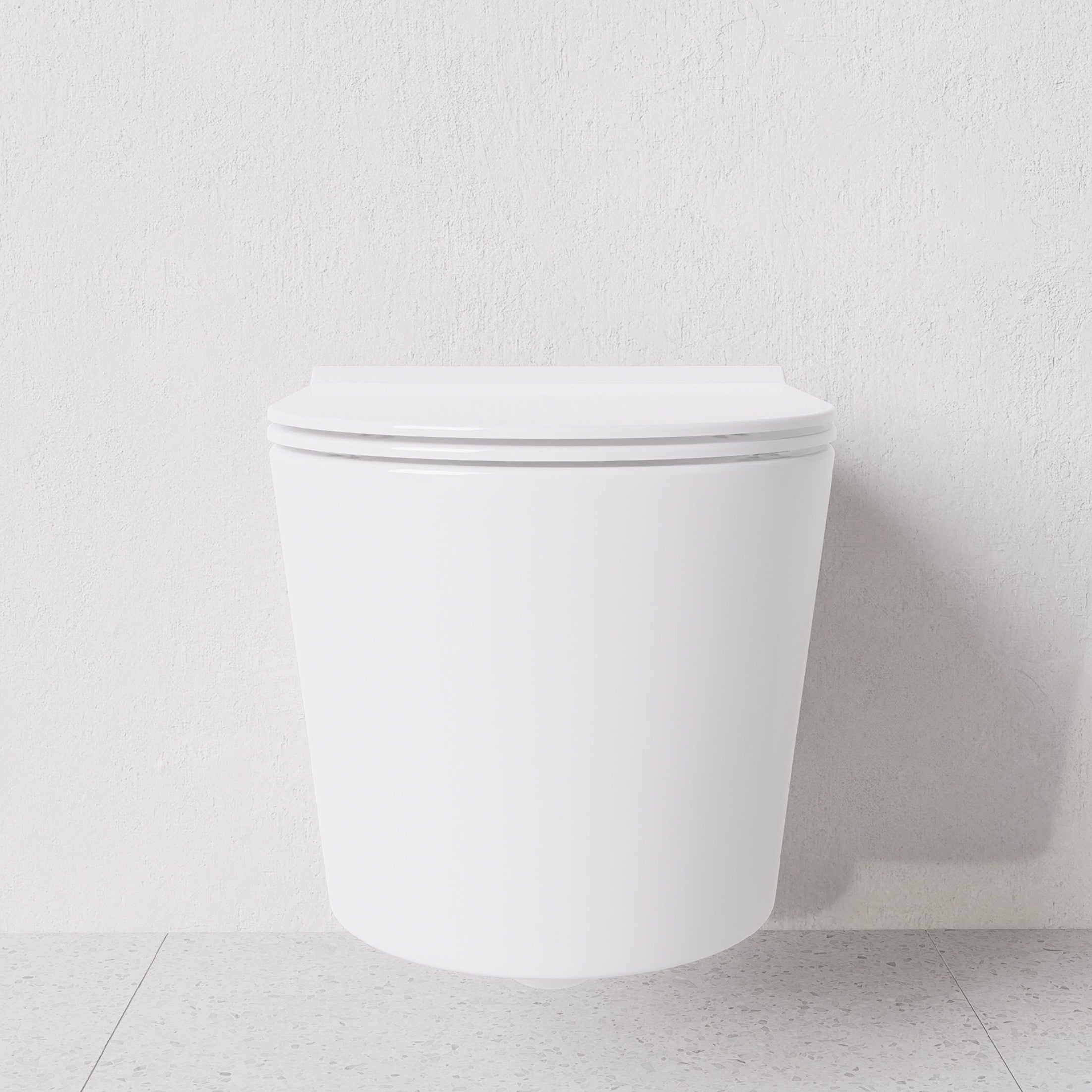 Toilet Form wall hung