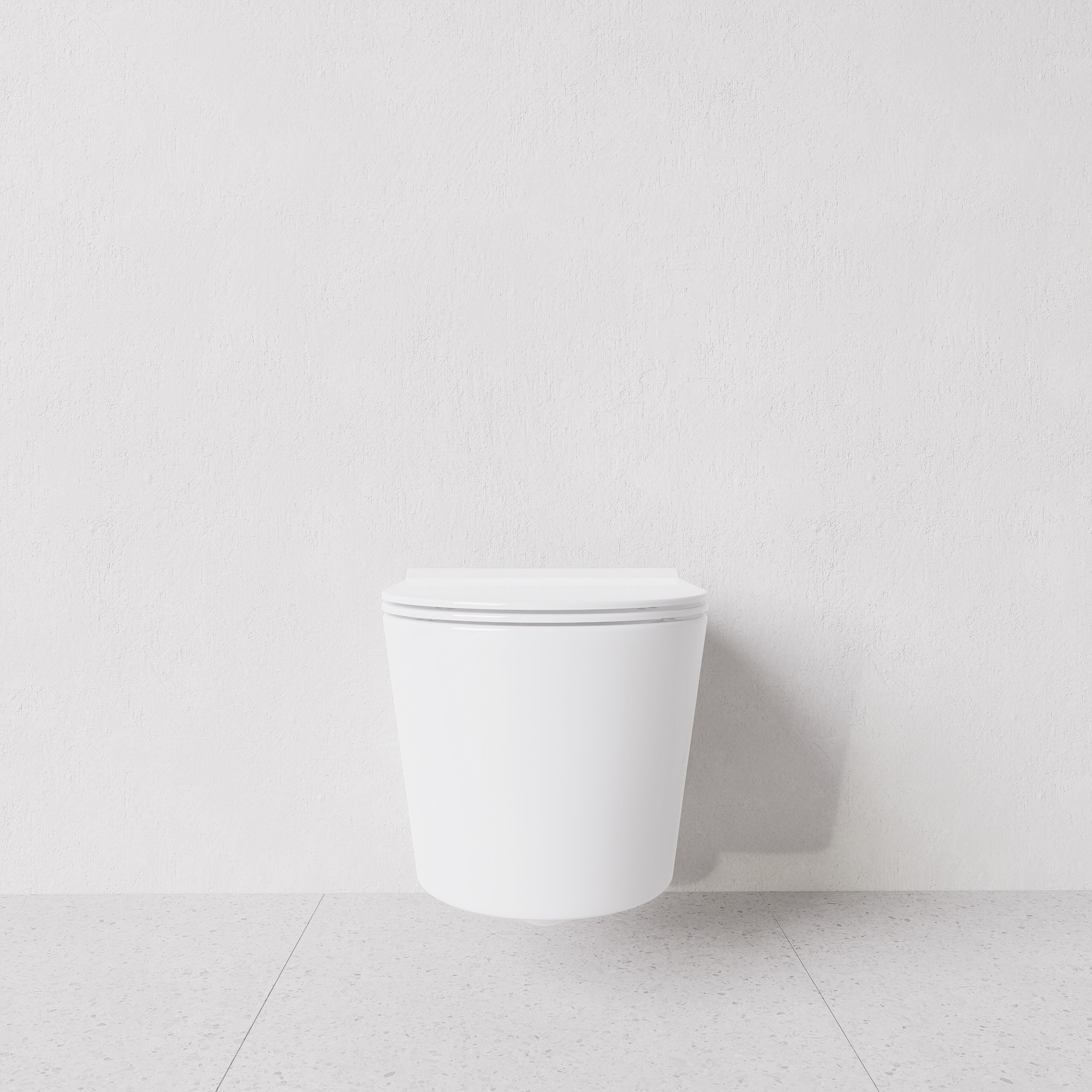 Toilet Form wall hung