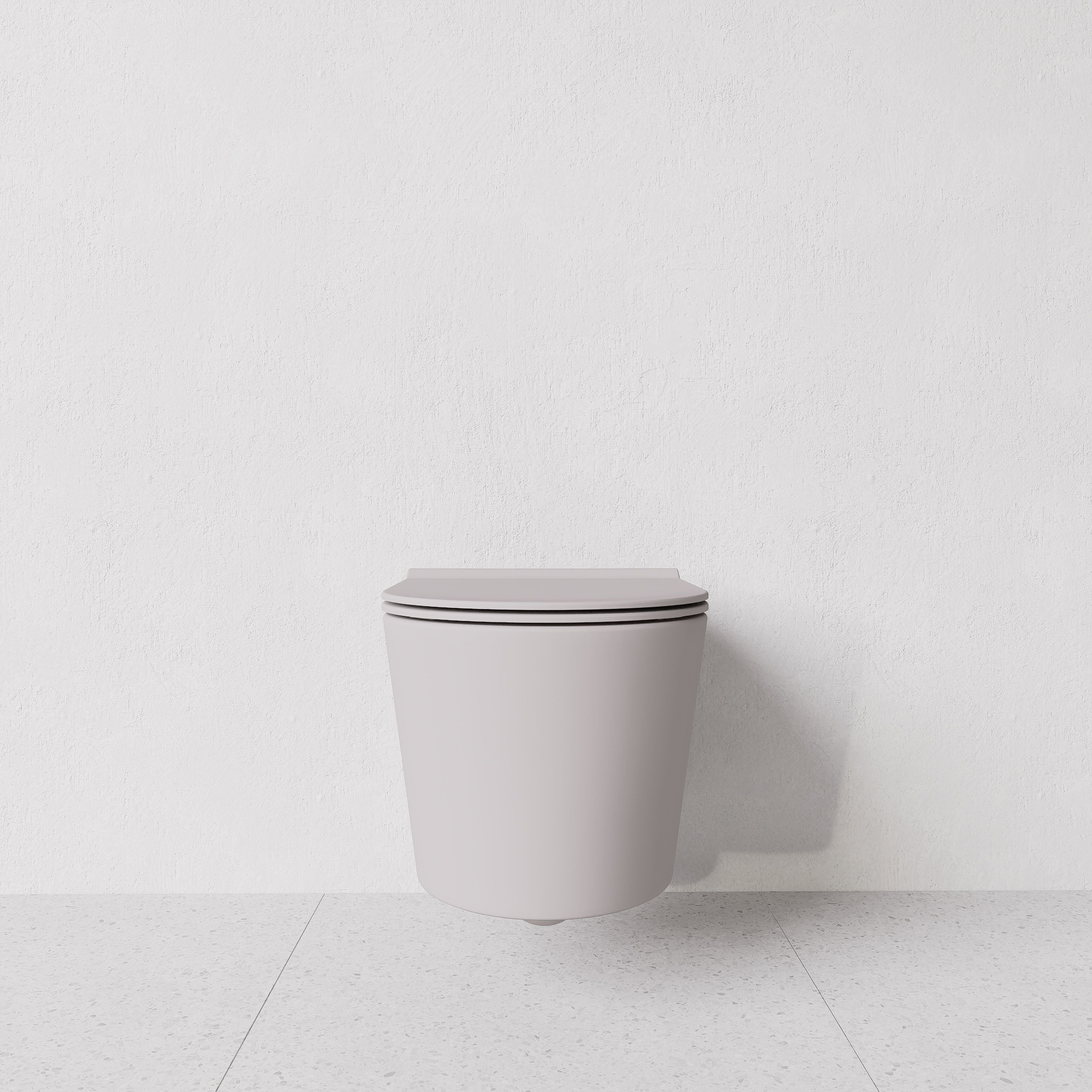 Toilet Form wall hung