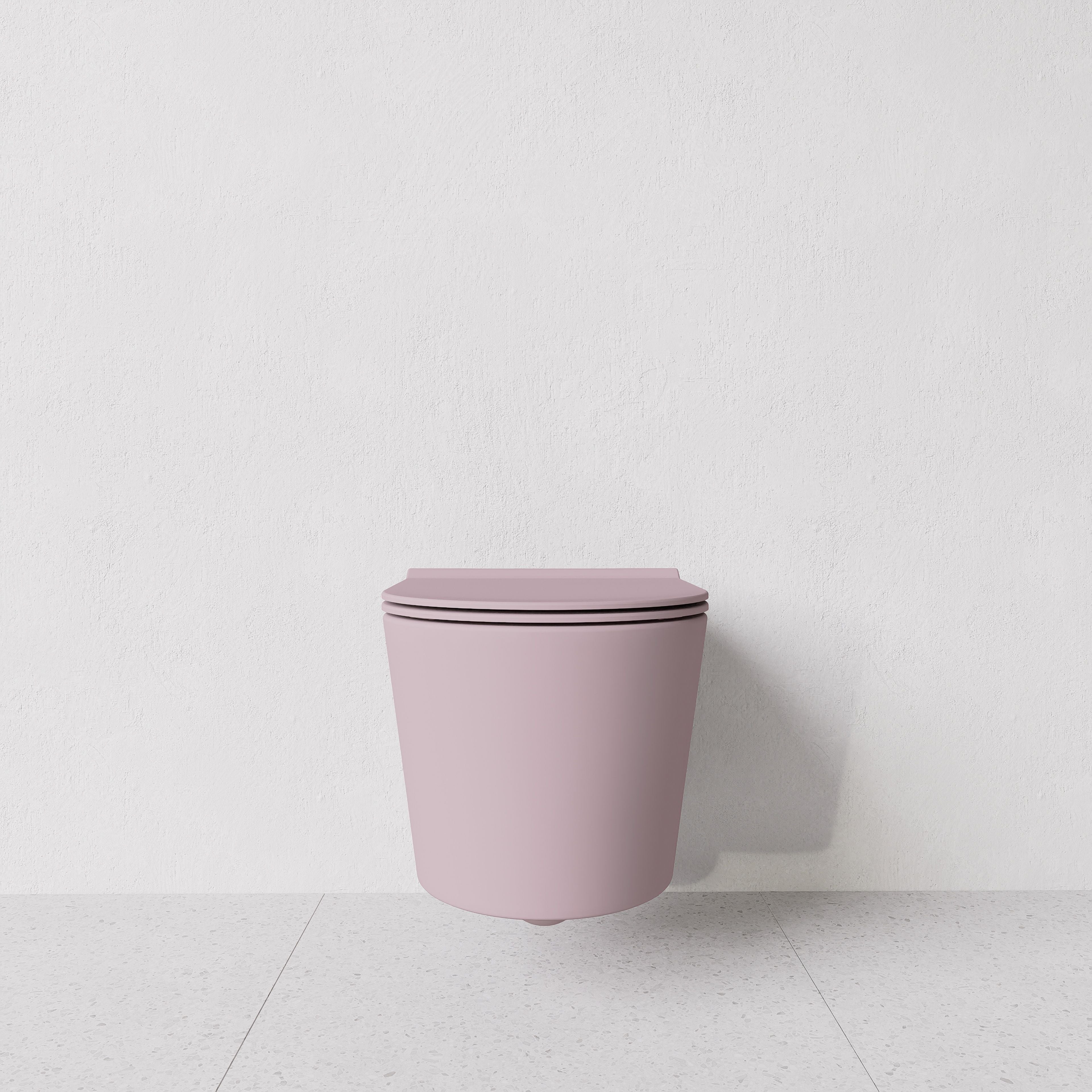 Toilet Form wall hung