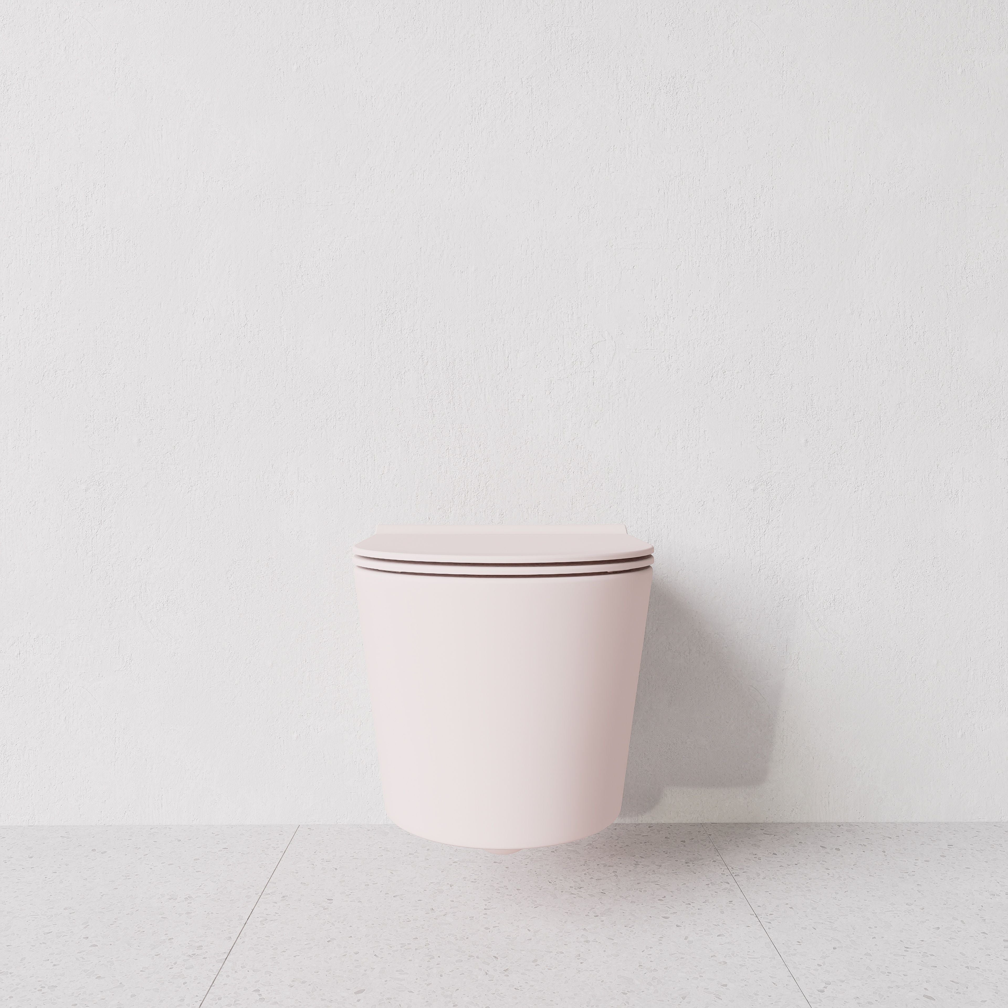 Toilet Form wall hung