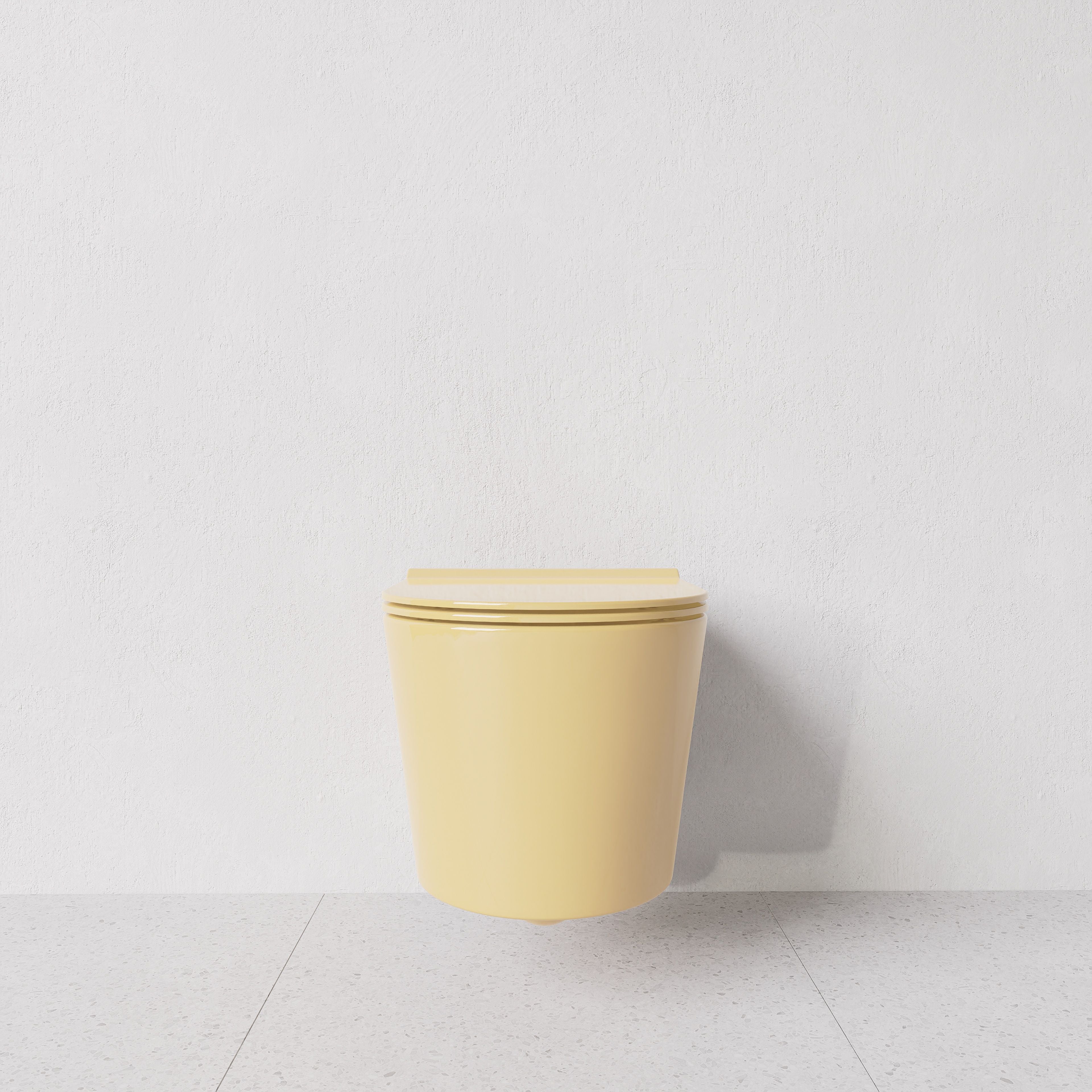 Toilet Form wall hung