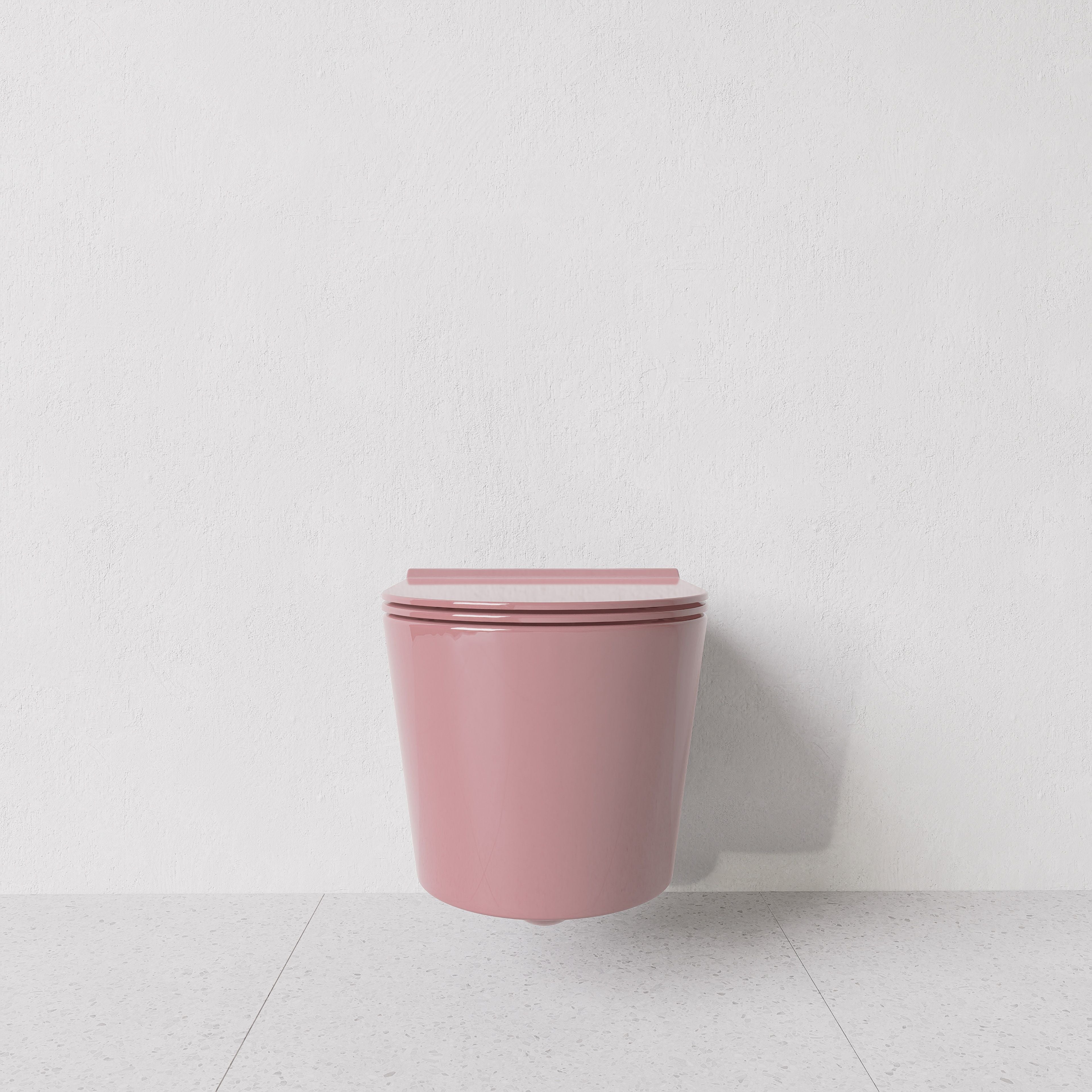 Toilet Form wall hung