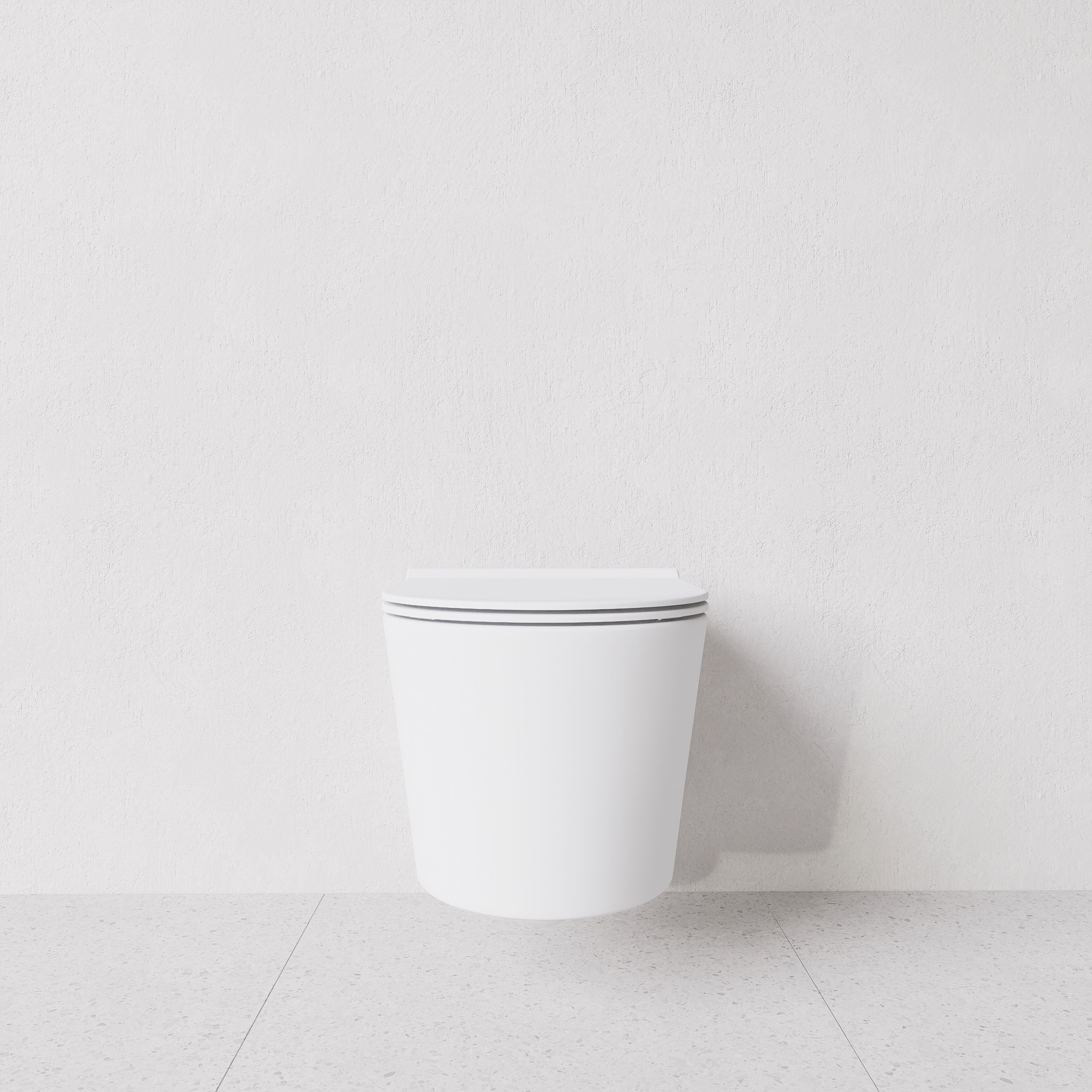 Toilet Form wall hung