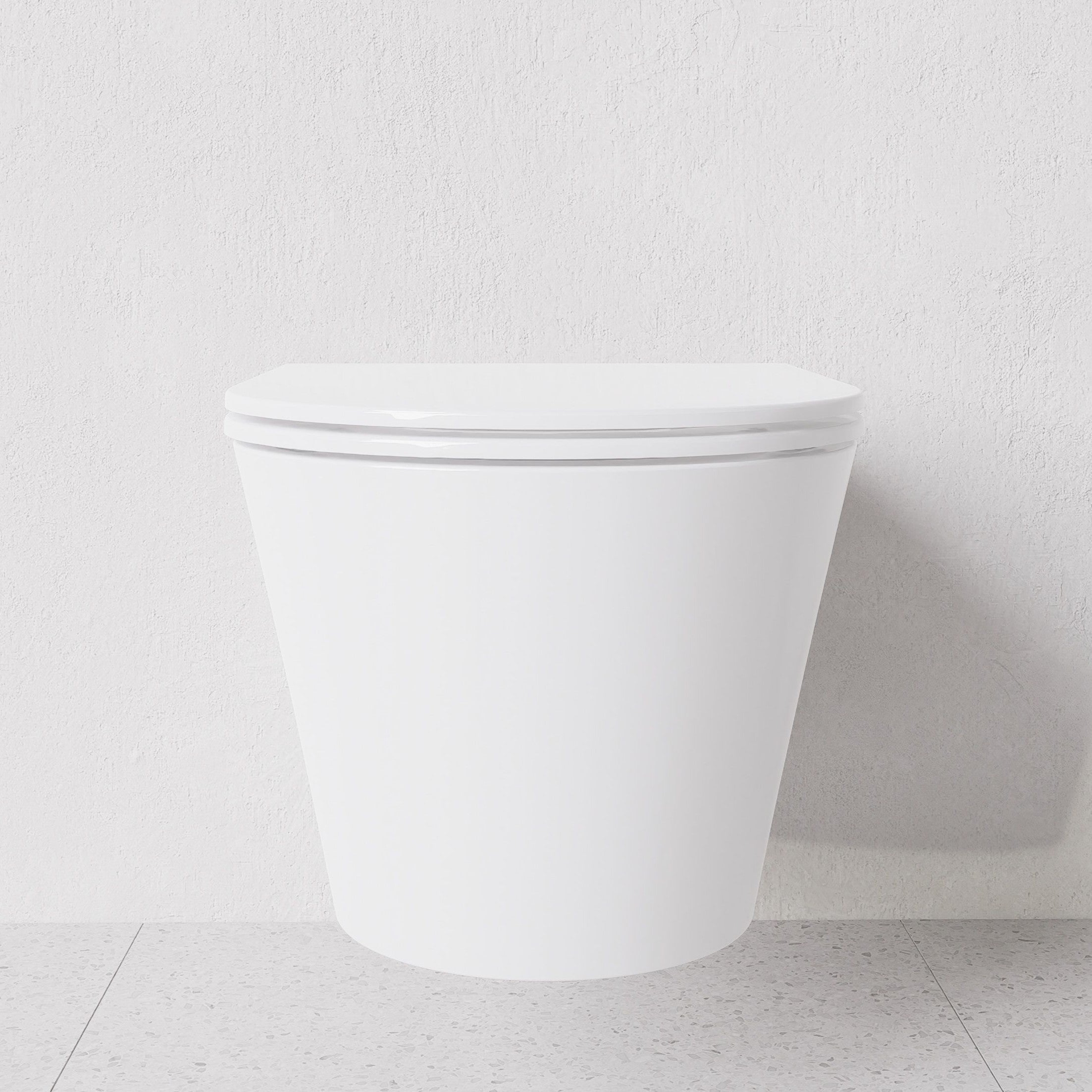 Toilet Hide round wall hung