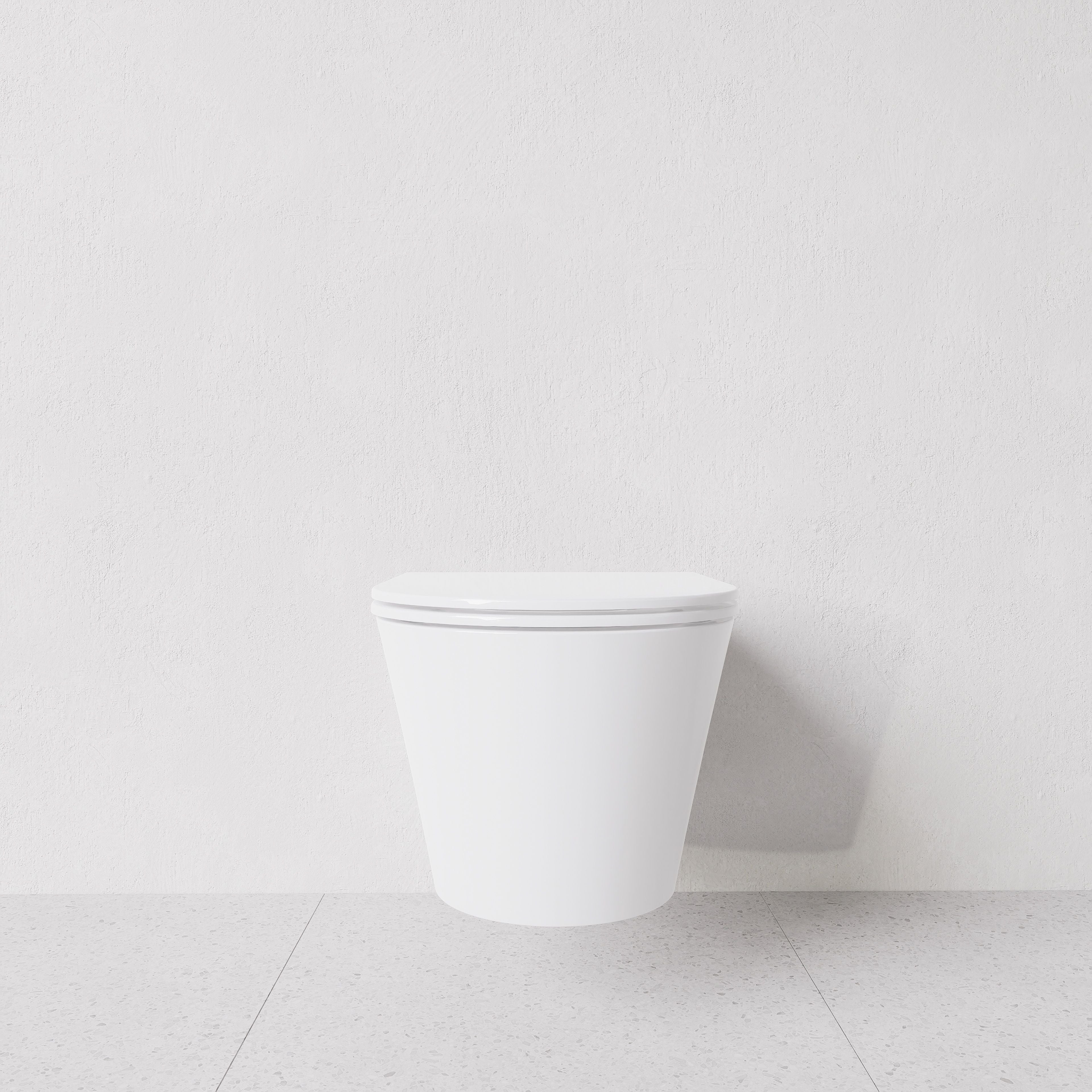 Toilet Hide round wall hung