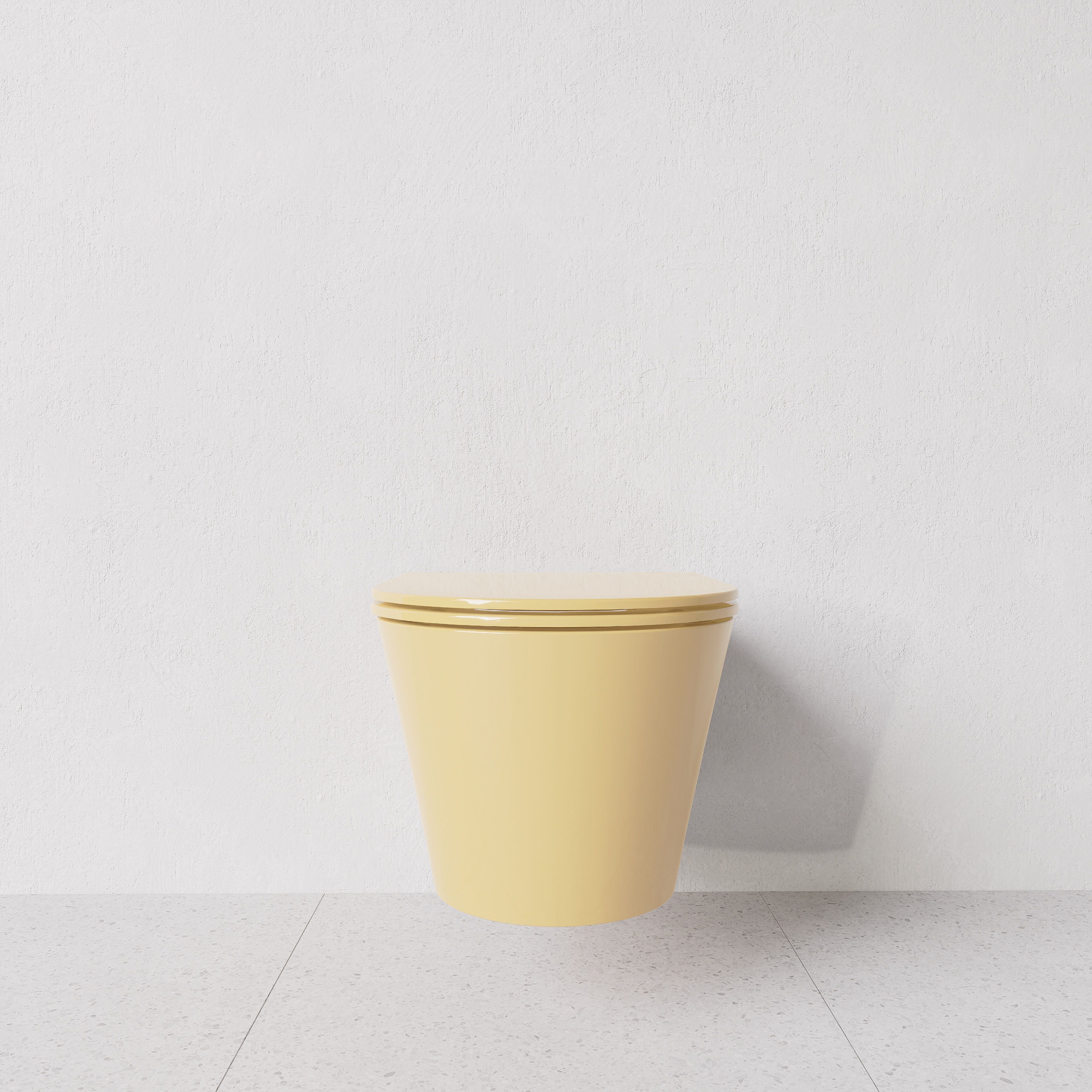 Toilet Hide round wall hung