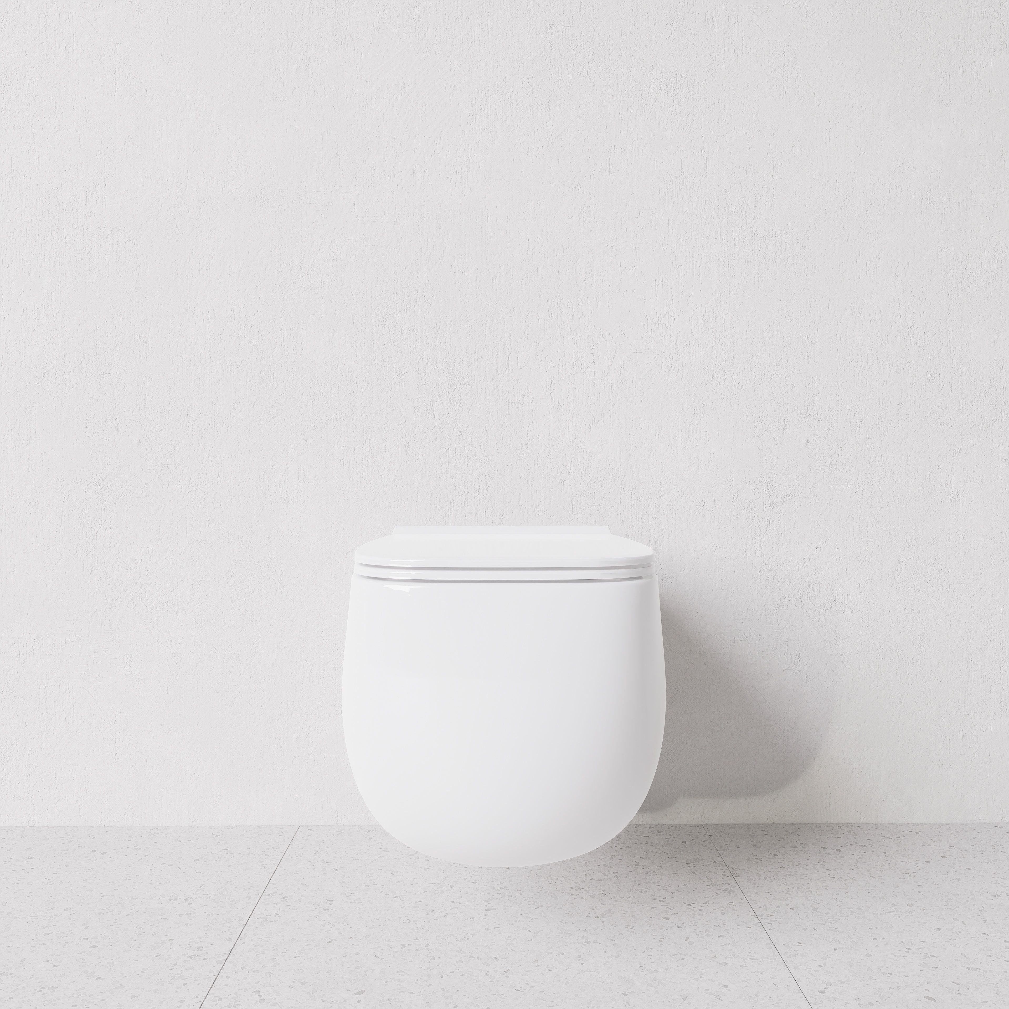 Toilet Nur wall hung