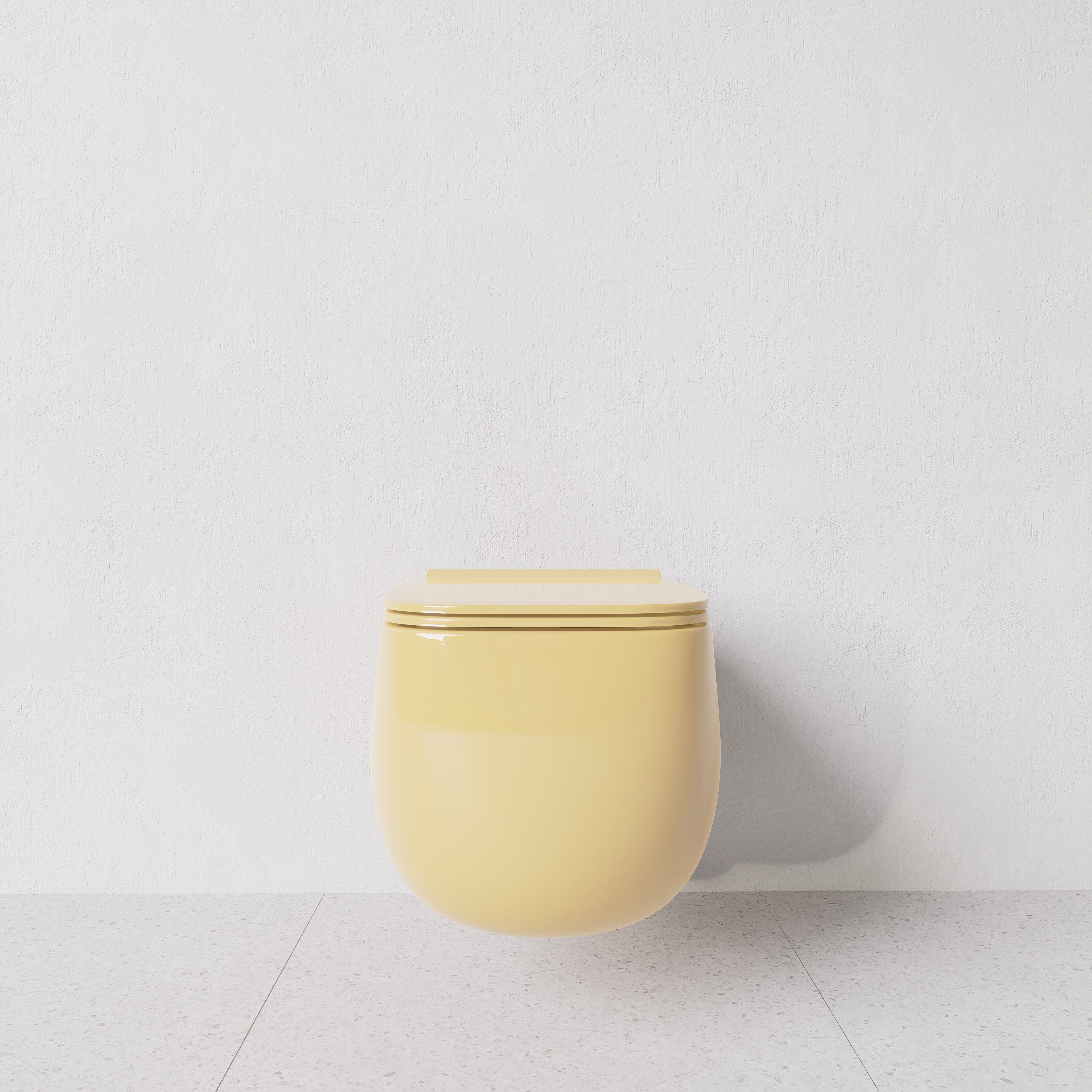 Toilet Nur wall hung