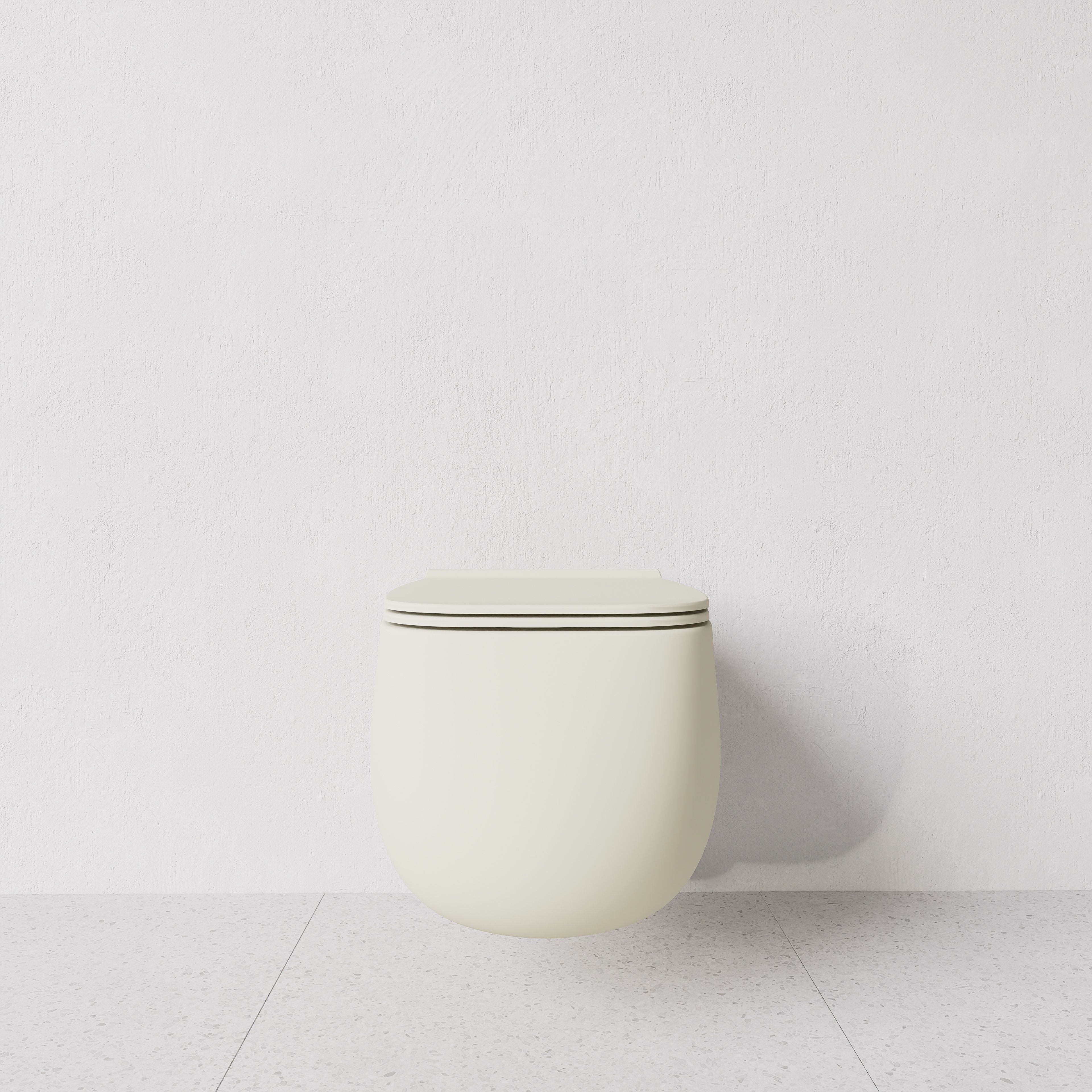 Toilet Nur wall hung