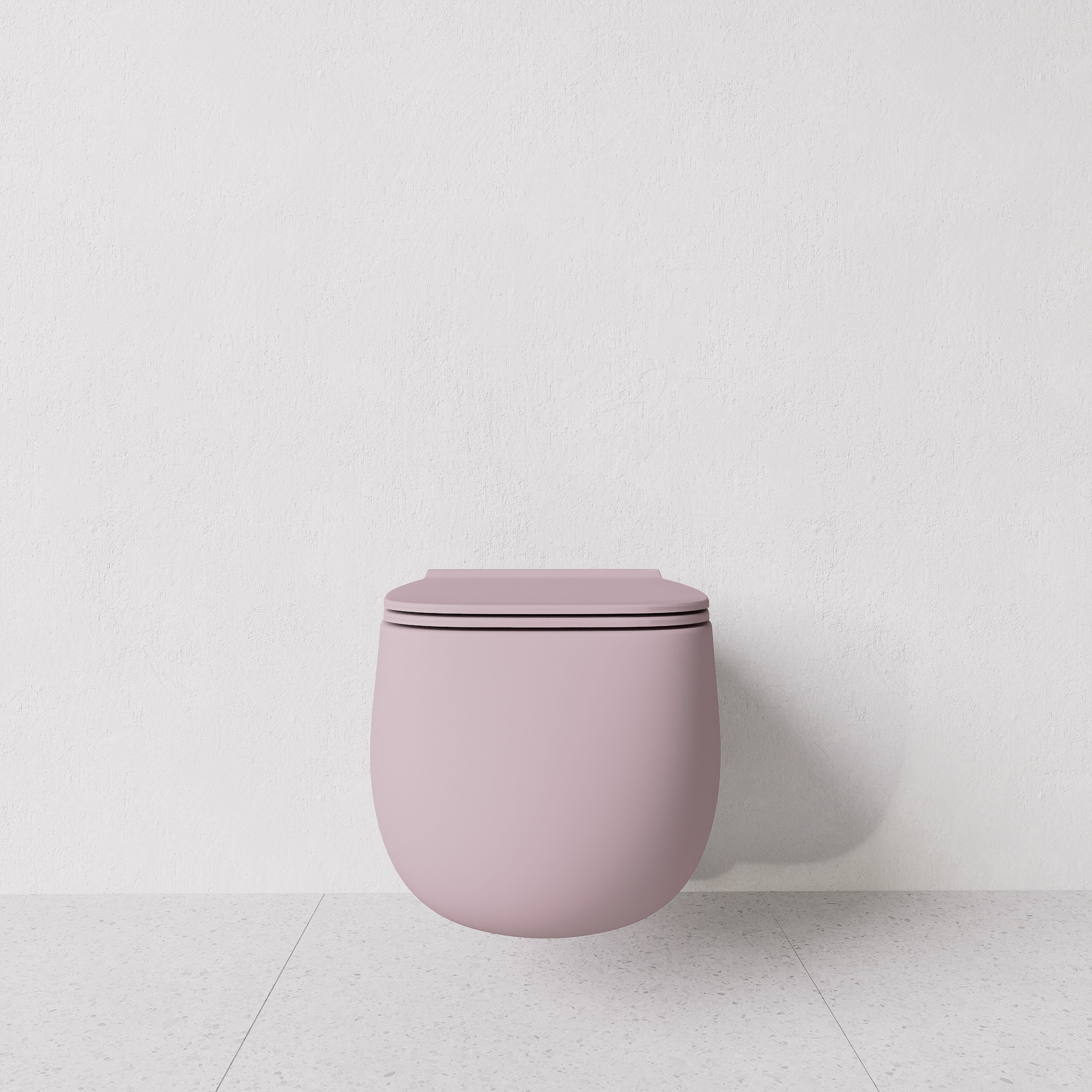 Toilet Nur wall hung