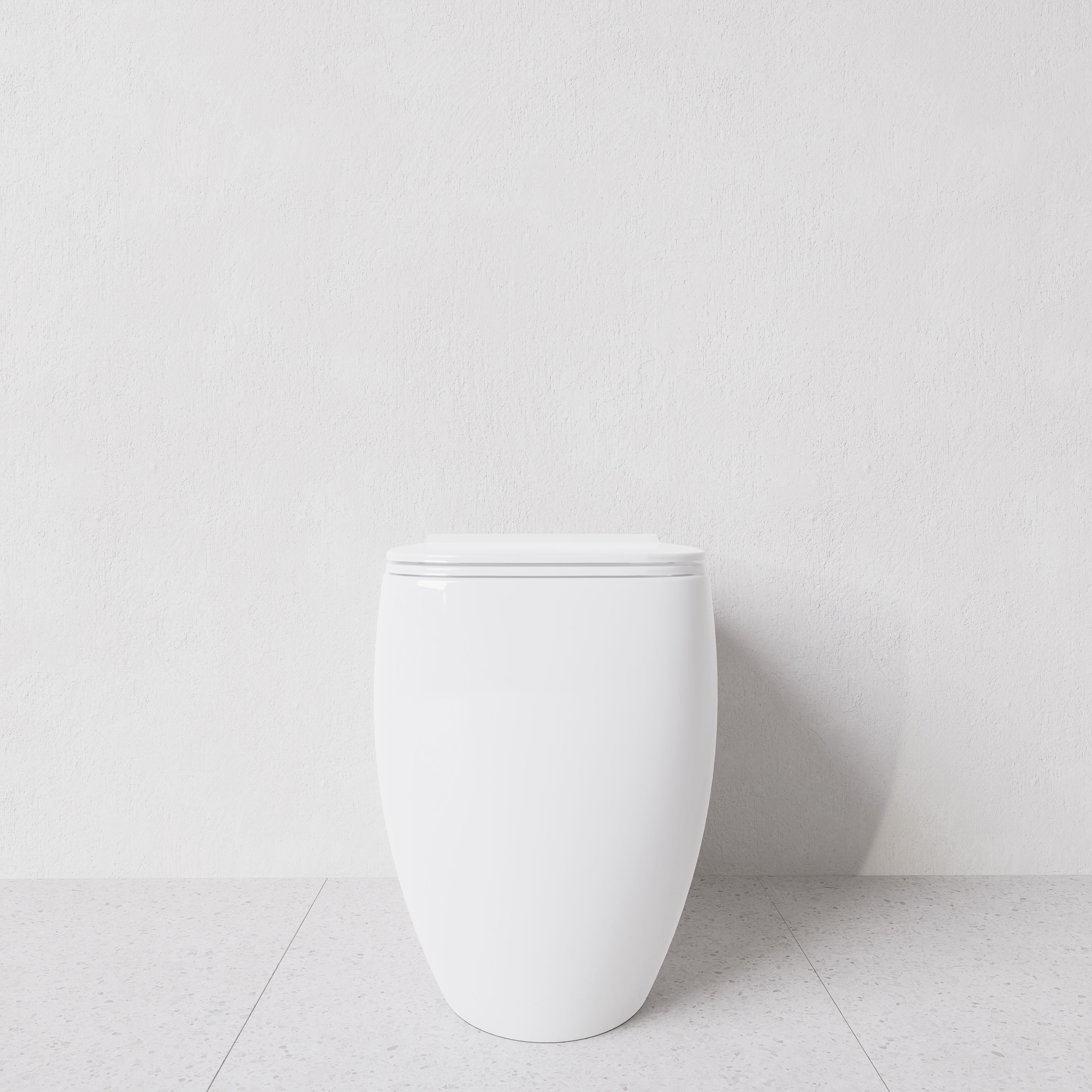 Toilet Nur translato