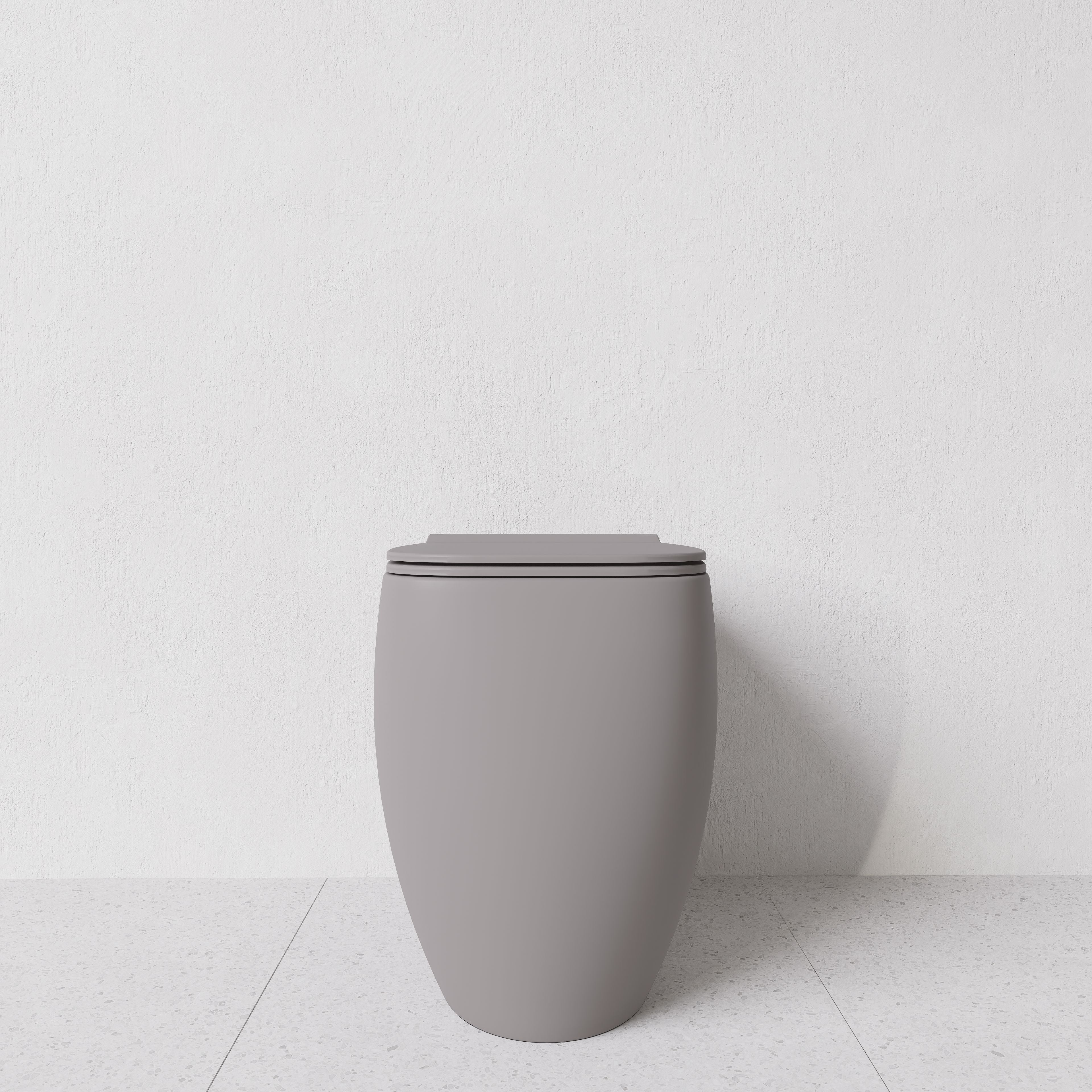 Toilet Nur translato