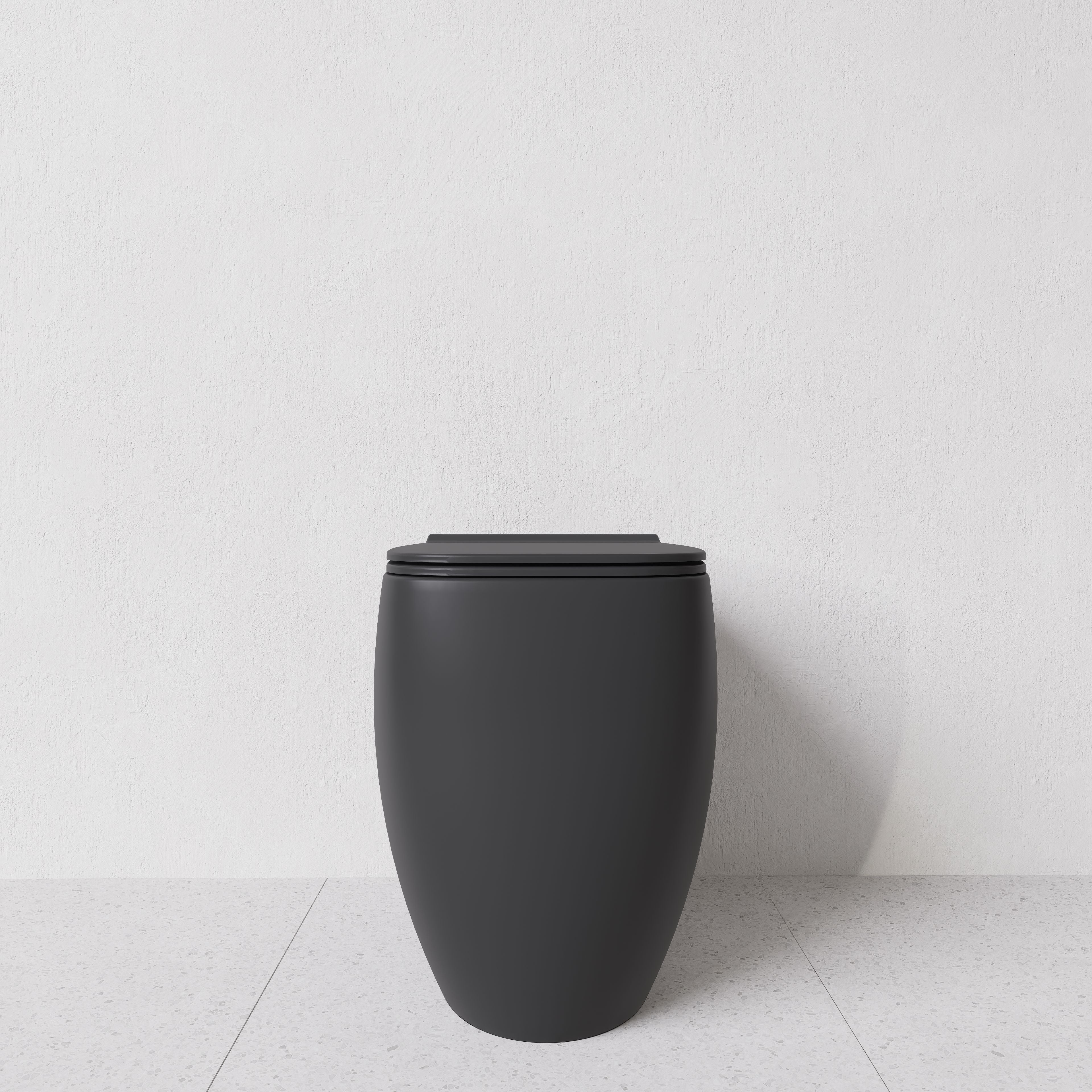 Toilet Nur translato