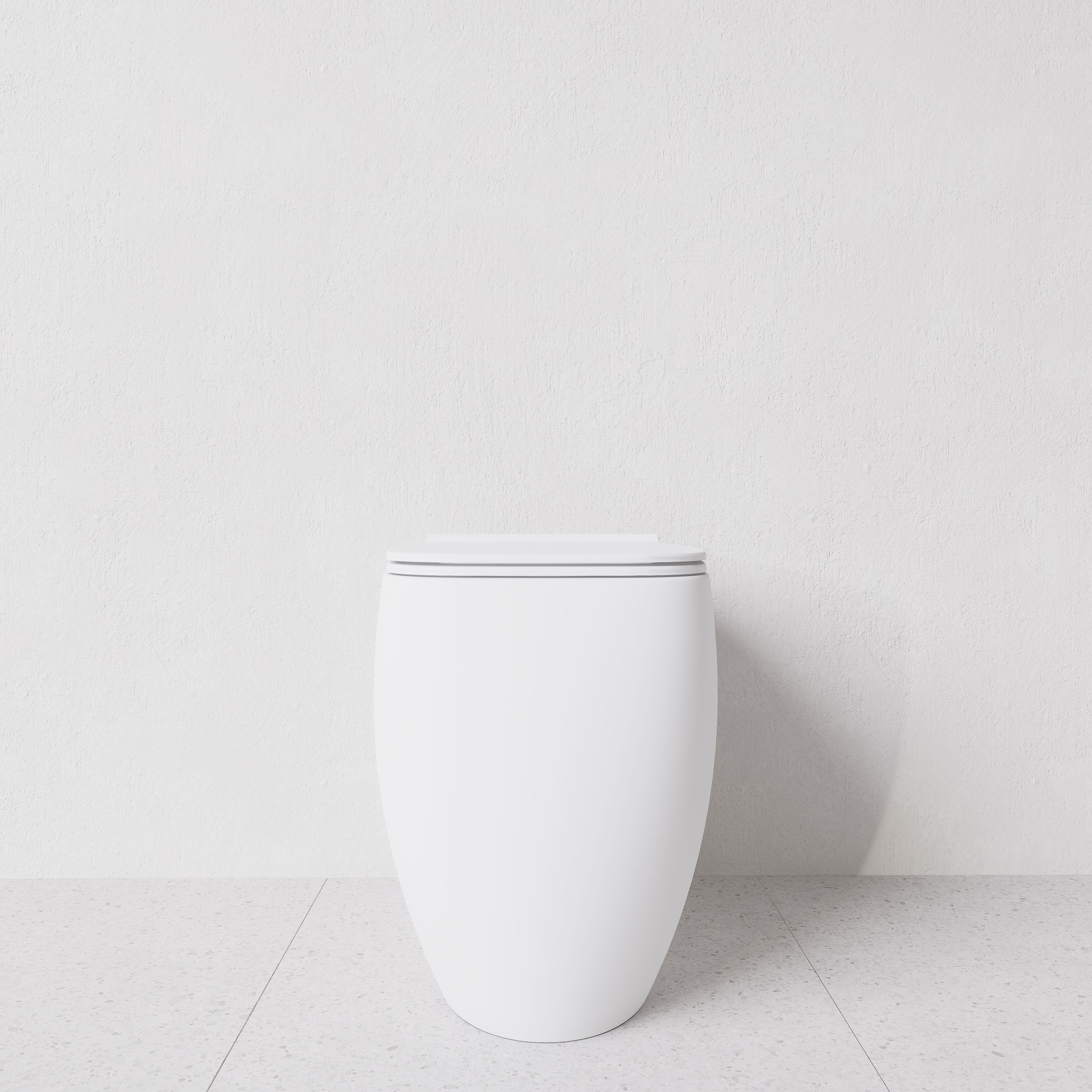 Toilet Nur translato