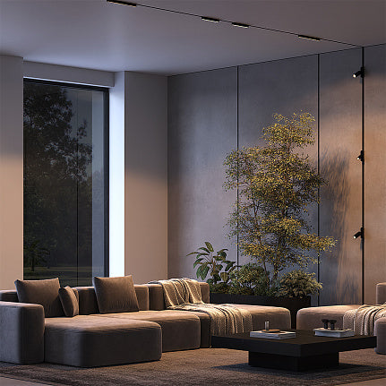 TRACK LIGHT POINTS - RADITY