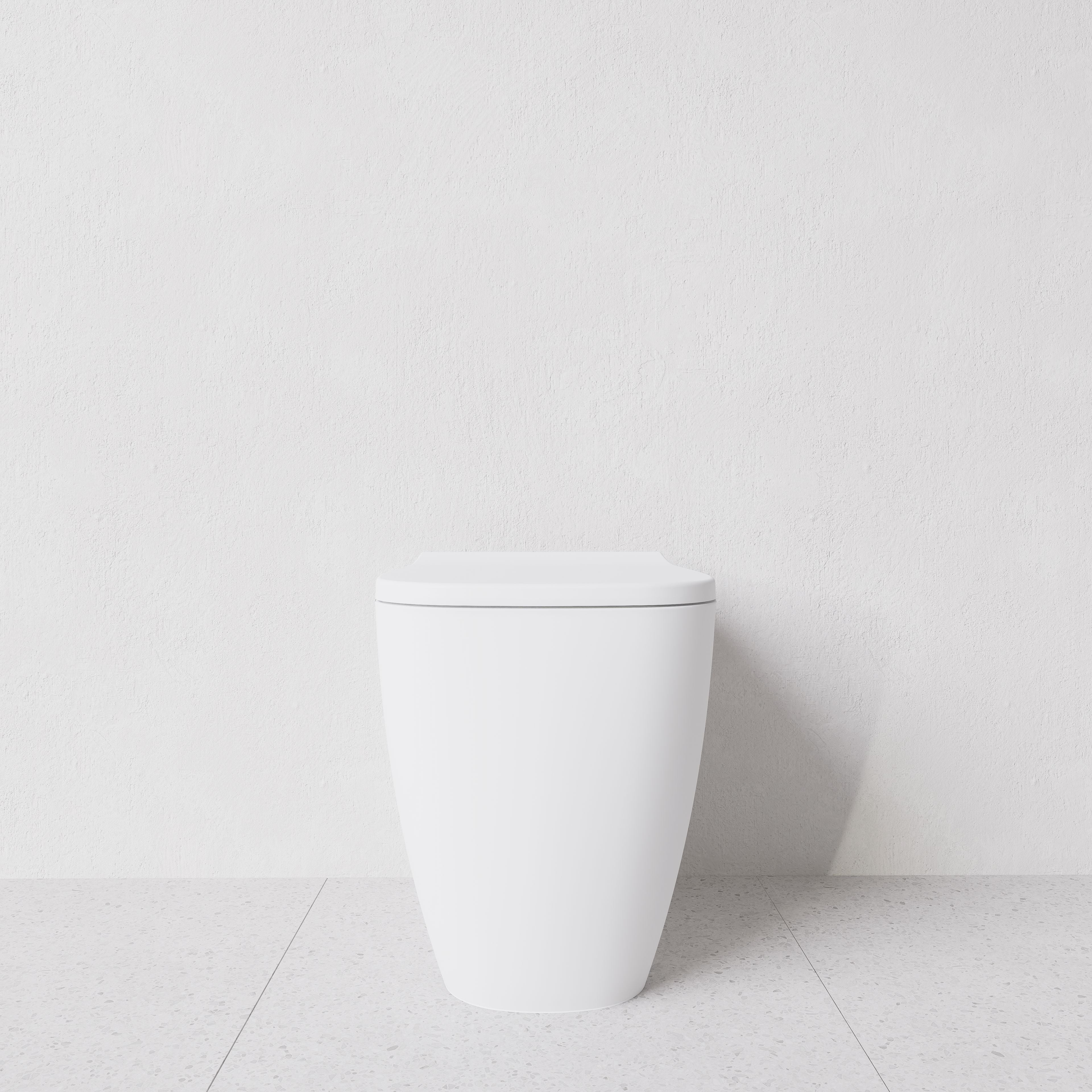 Toilet Wunder translato